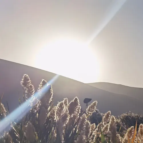 什么是自駕租車