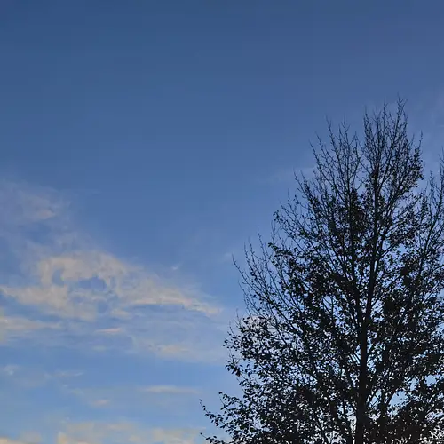 來西北甘肅敦煌公司團體旅游或者企業(yè)外地開會租車包車時的注意事項有哪些？