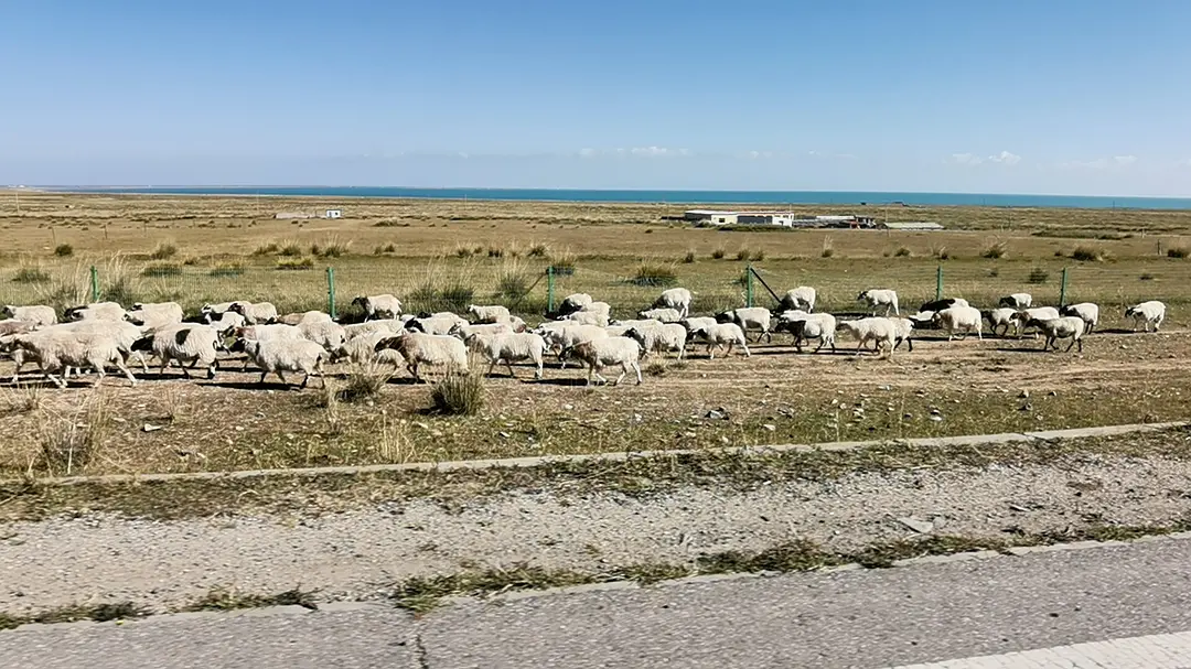 敦煌租車(chē)解析：自動(dòng)擋和手動(dòng)擋哪種車(chē)省油？