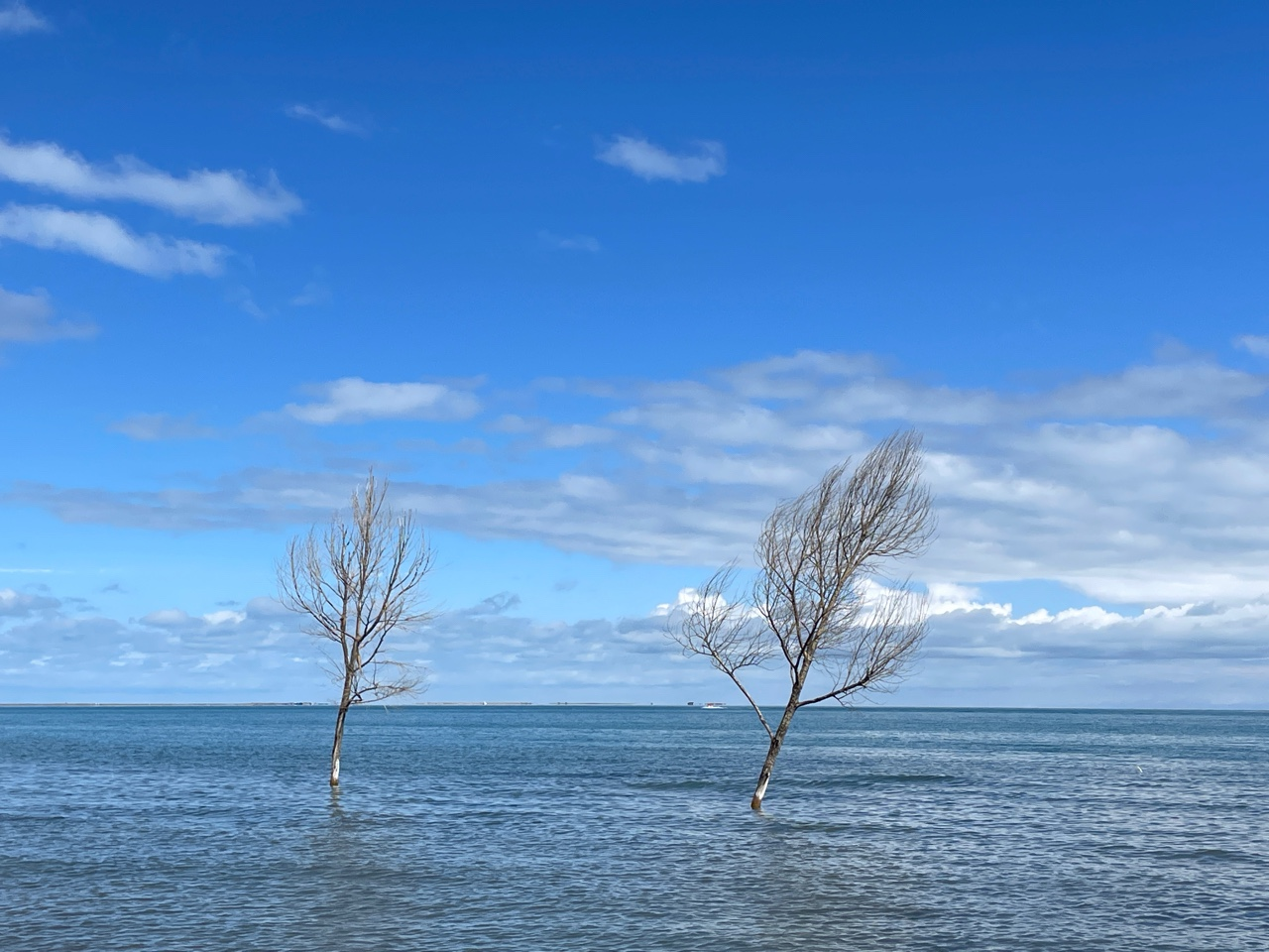 哪個(gè)是好的敦煌租車(chē)平臺(tái)？
