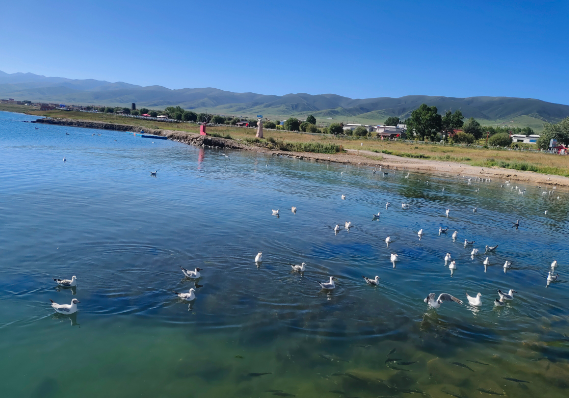 節(jié)假日旅游高峰，如何在敦煌租車(chē)最省錢(qián)？