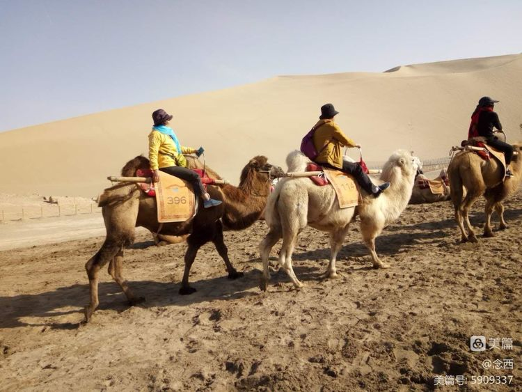 敦煌租車(chē)新手租車(chē)后，你如何知道租車(chē)費(fèi)用的清晰清單？