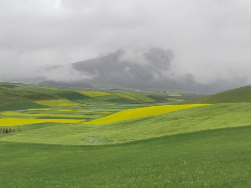 敦煌包車避免租車租車問題的兩個小貼士？