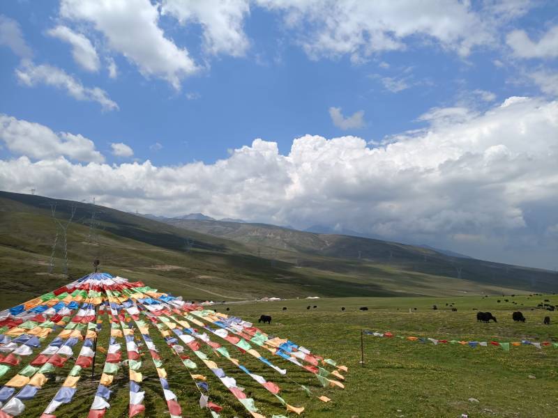 敦煌包車長(zhǎng)期租車市場(chǎng)的現(xiàn)狀如何？