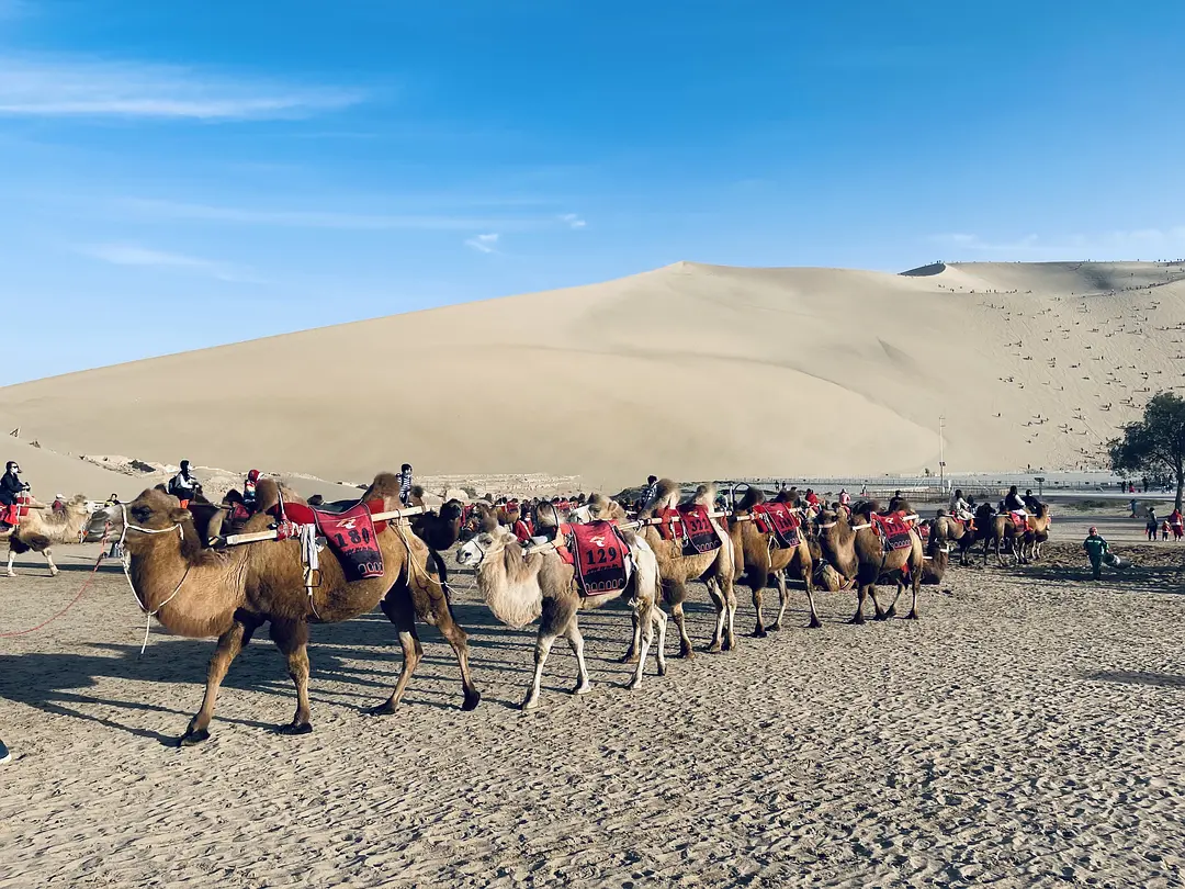 敦煌租車公司：如何保障租車行業(yè)的和諧發(fā)展