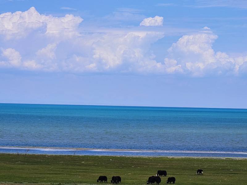 敦煌逐西租車公司真誠分享冬季出游安全小貼士