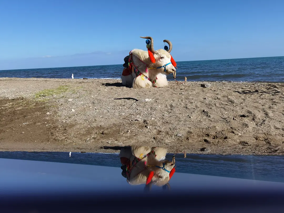 敦煌逐西租車公司：自動檔汽車駕駛的“偽科學(xué)”你知道幾個？