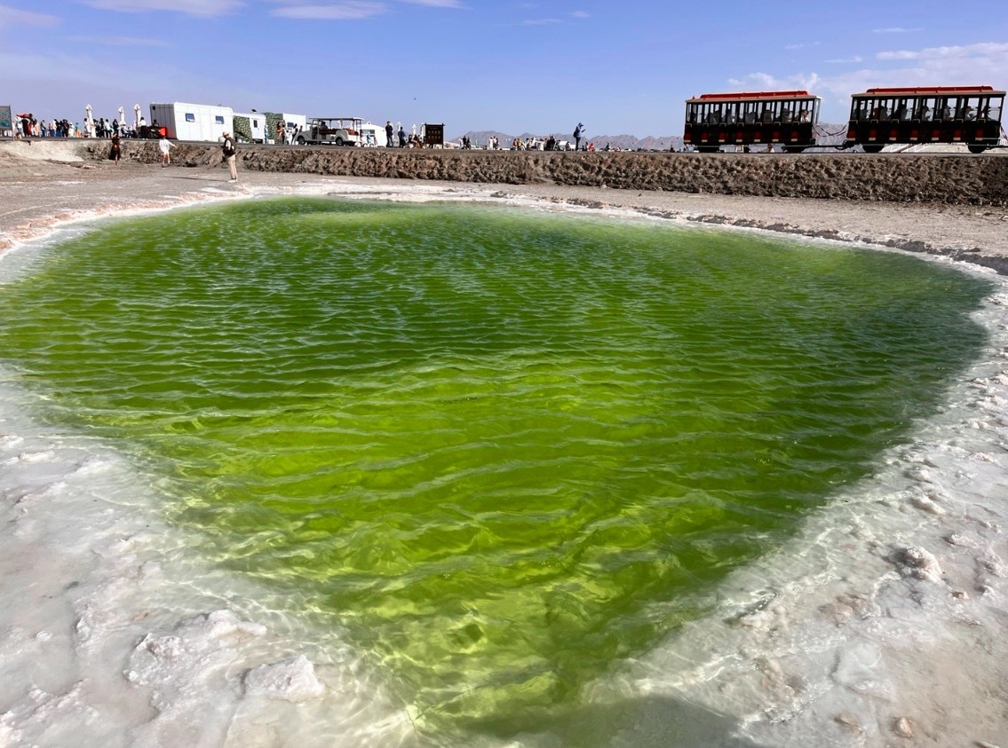 敦煌逐西租車公司：如何選擇一個合適的敦煌租車公司？