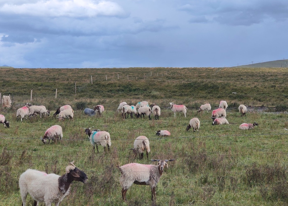 敦煌逐西租車公司提示：謹(jǐn)防消費(fèi)誤區(qū)