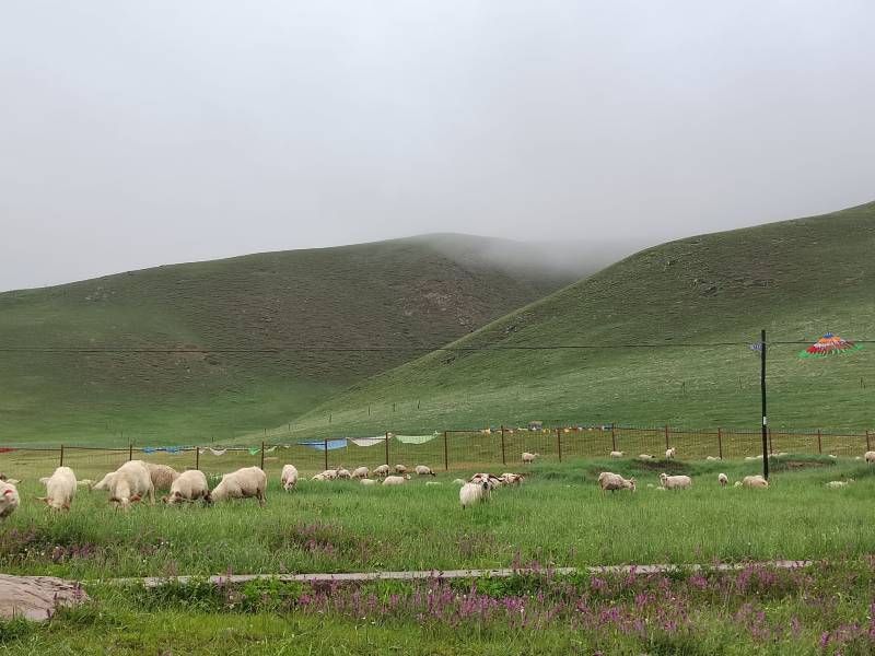 敦煌租車小團(tuán)包車旅游：敦煌包車新疆旅游：哈密、烏魯木齊、賽里木湖、巴音布魯克