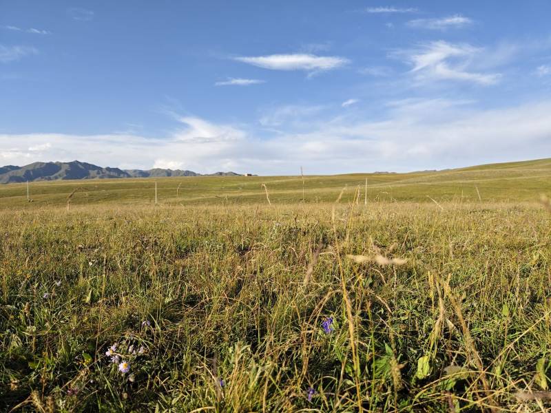 甘肅租車常識之新手技巧