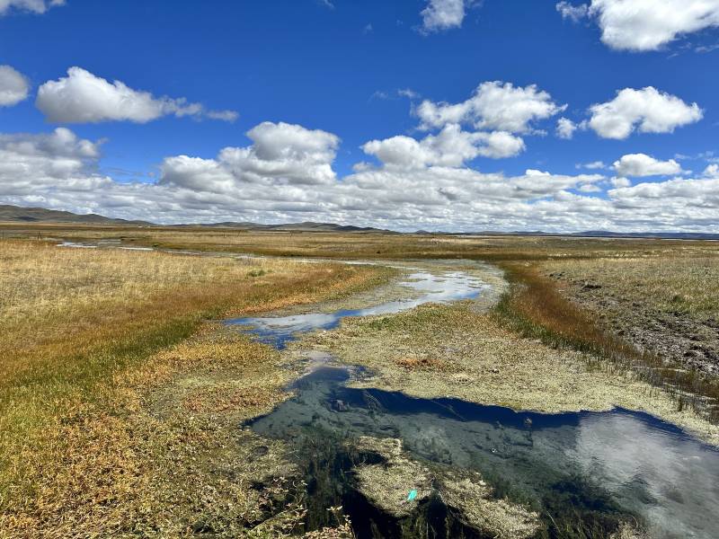 甘肅租車一天多少錢？