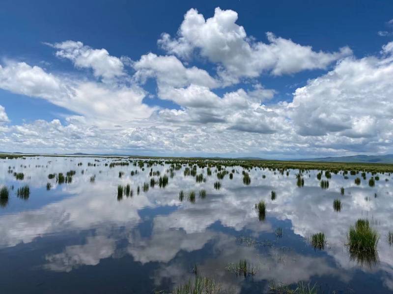 推薦一位甘肅包車師傅