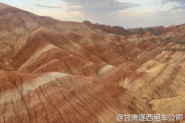 想體驗(yàn)沙漠露營，包車能直接送到營地嗎？  