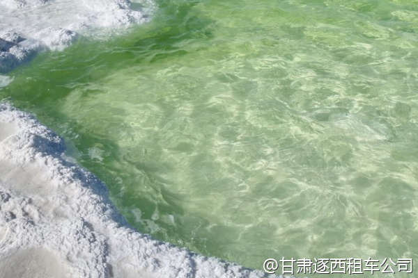 我們想包車去山丹軍馬場，能體驗騎馬嗎？  