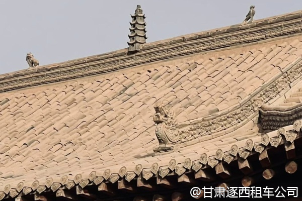 我們想包車(chē)去金昌紫金花海，花期是幾月？  