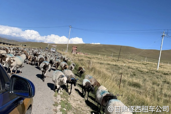 甘肅有沒有適合寫生的景點？包車能帶畫具嗎？  