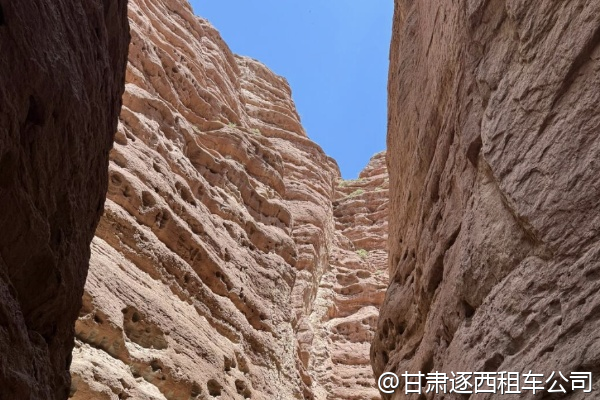 甘肅哪些景點(diǎn)兒童免費(fèi)？包車(chē)司機(jī)提醒嗎？  